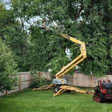 Best Lawn Dethatching  in Baldwin, MI